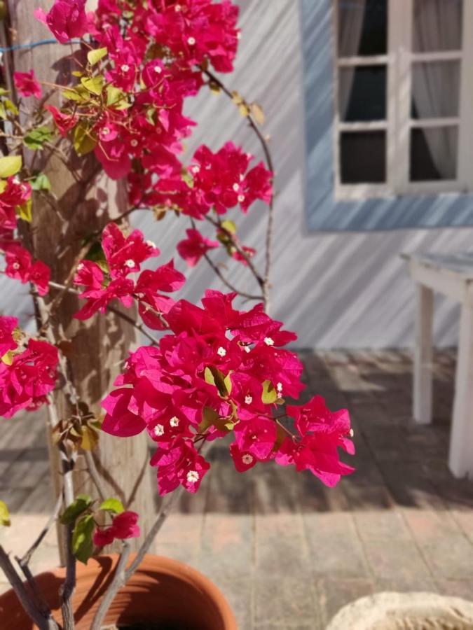 Casa Largo Do Poco Guesthouse アルヴォル エクステリア 写真